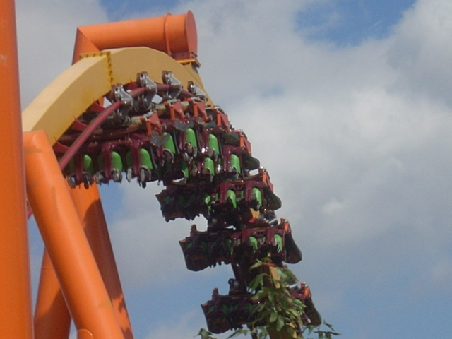 Tatsu - Six Flags Magic Mountain